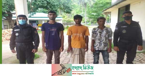 অপহৃত ৩ বাংলাদেশীকে টেকনাফের পাহাড় থেকে উদ্ধার