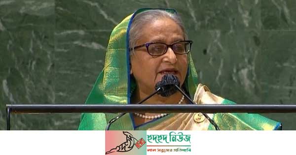 সমৃদ্ধ দক্ষিণ এশিয়ার স্বপ্ন দেখে বাংলাদেশ : প্রধানমন্ত্রী